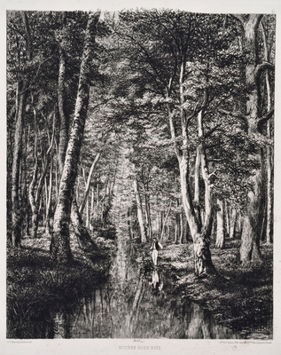 Rivière sous bois - Árnyas ...