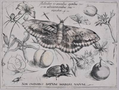 Archetypa studiaque patris Georg...