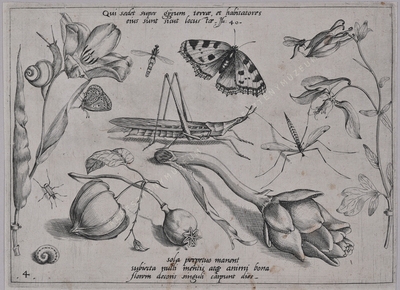 Archetypa studiaque patris Georg...